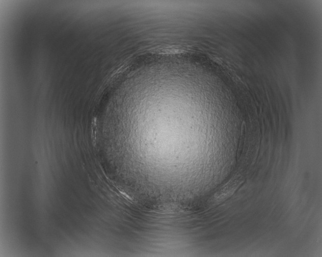 X0000052960528200507300114