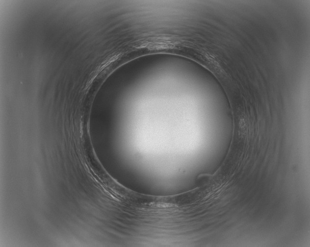 X0000052960539200507300114