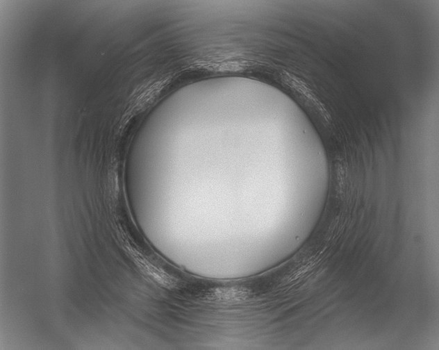 X0000052960541200507300114