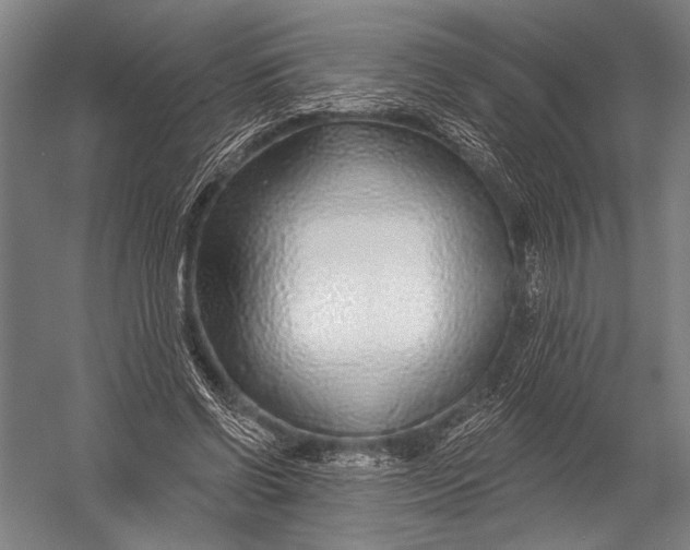 X0000052960542200507300114