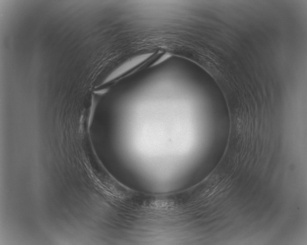 X0000052960546200507300114