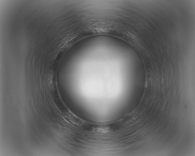 X0000052960548200507300114