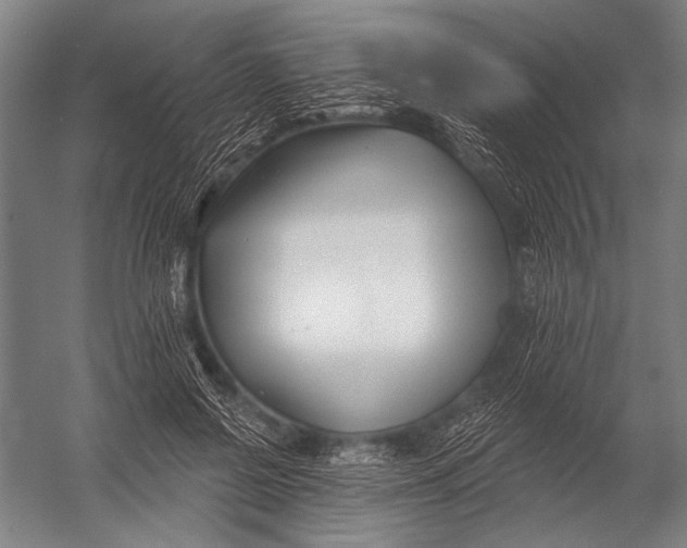 X0000052960550200507300114