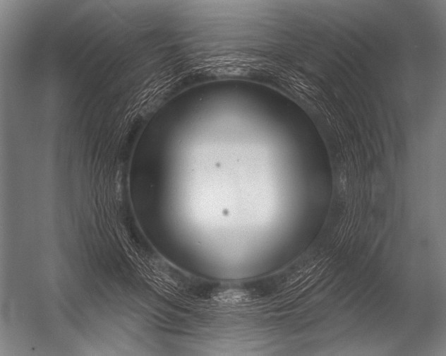 X0000052960551200507300114