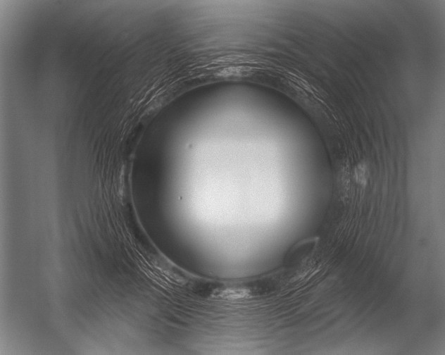 X0000052960554200507300114