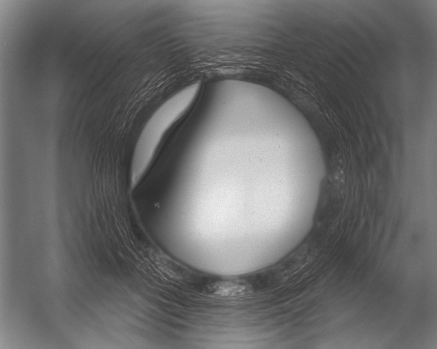 X0000052960555200507300114