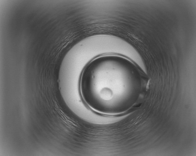 X0000052960556200507300114