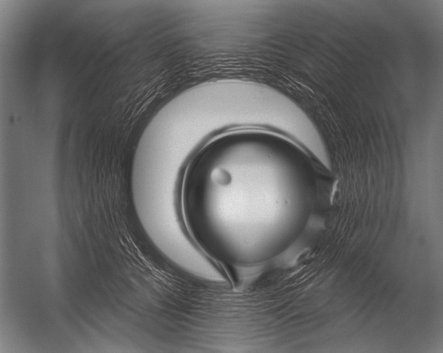 X0000052960560200507300114