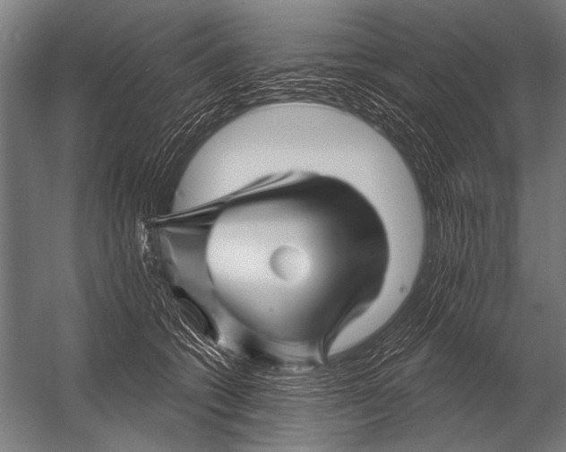 X0000052960562200507300114