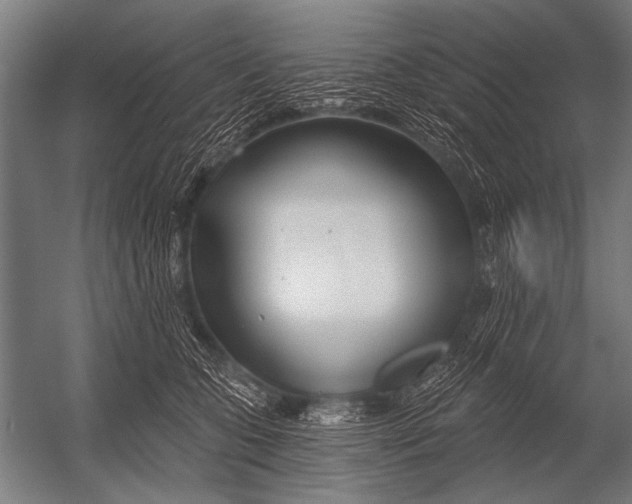 X0000052960563200507300114