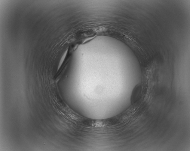 X0000052960565200507300114
