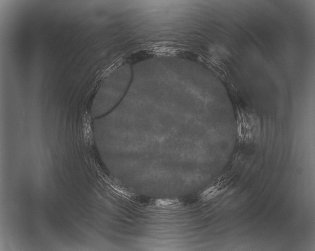 X0000052960573200507300114