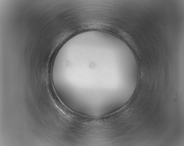 X0000052960578200507300113