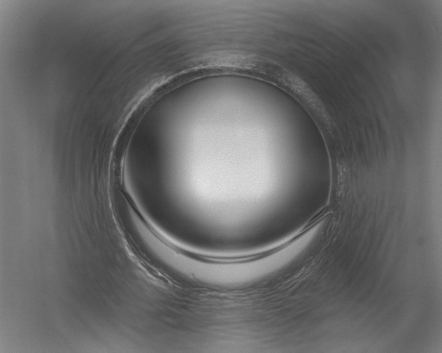 X0000052960580200507300113