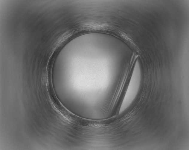 X0000052960582200507300113