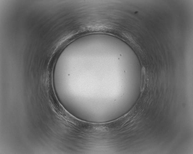 X0000052960583200507300113