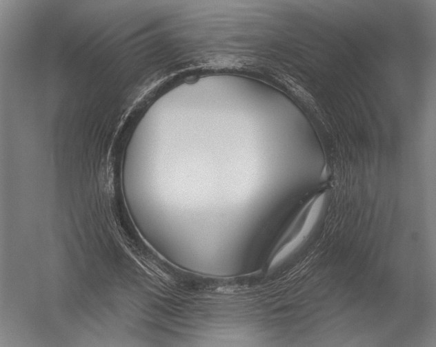 X0000052960584200507300113