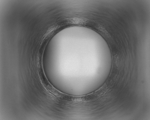 X0000052960587200507300113