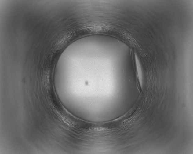 X0000052960590200507300113