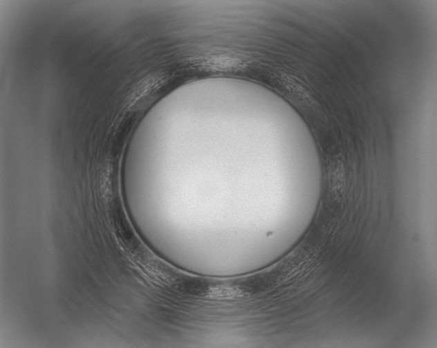 X0000052960591200507300113