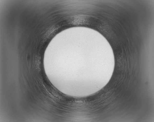 X0000052960592200507300113