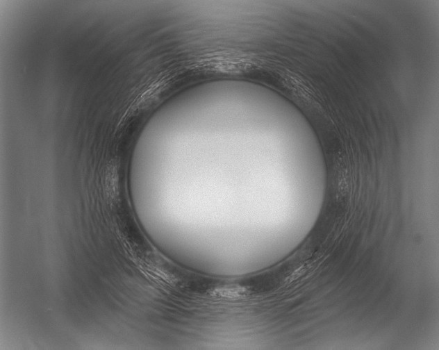 X0000052960595200507300113