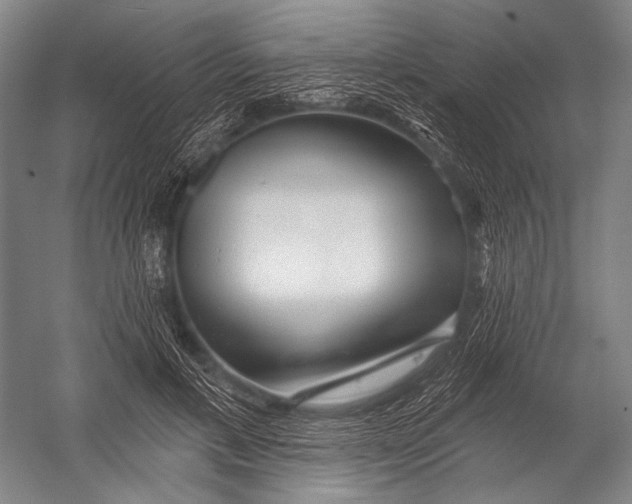 X0000052960597200507300113