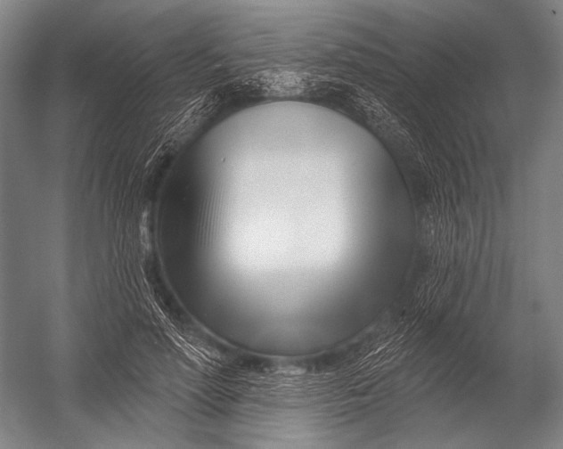 X0000052960598200507300113