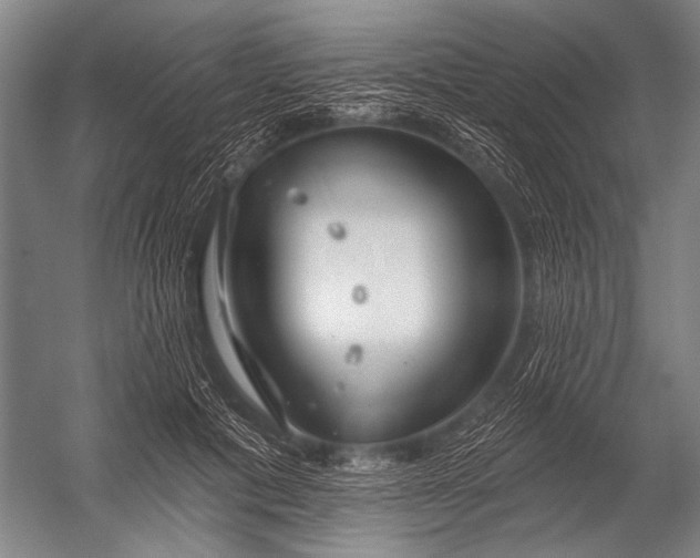 X0000052960601200507300113