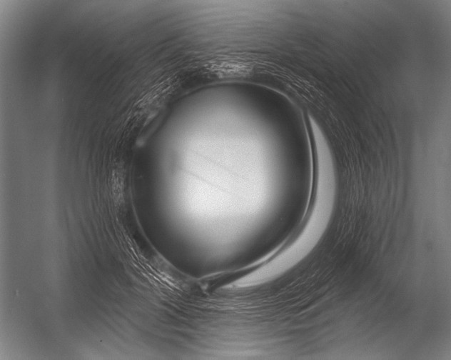 X0000052960604200507300113