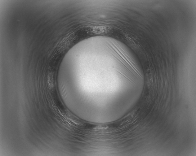 X0000052960606200507300113