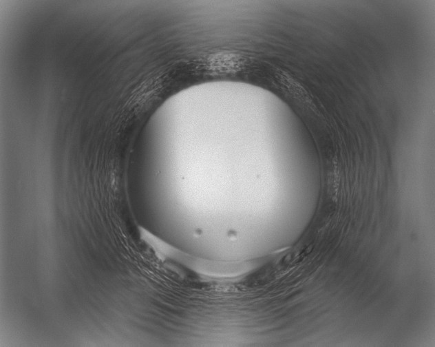 X0000052960608200507300113