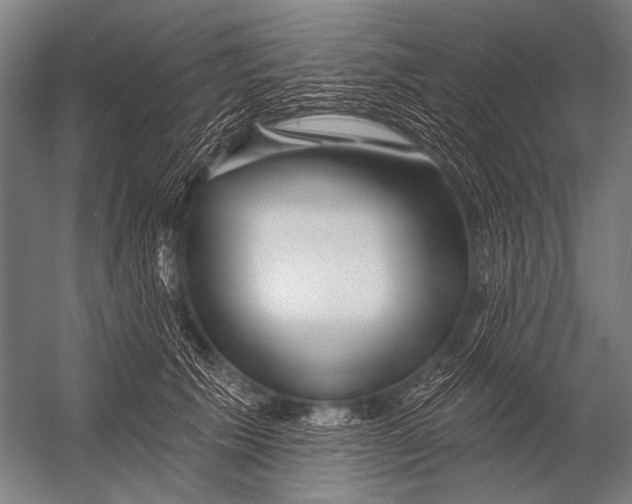 X0000052960609200507300113