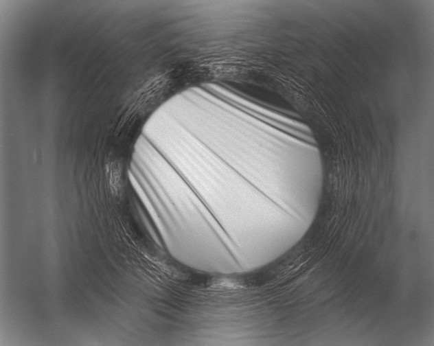 X0000052960610200507300113