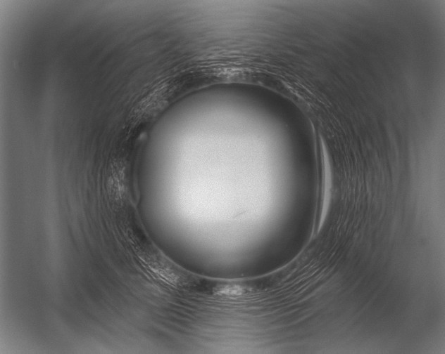 X0000052960611200507300113