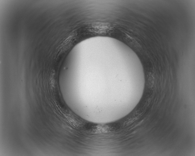 X0000052960612200507300113