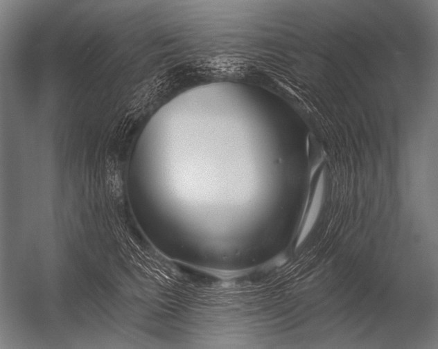 X0000052960613200507300113