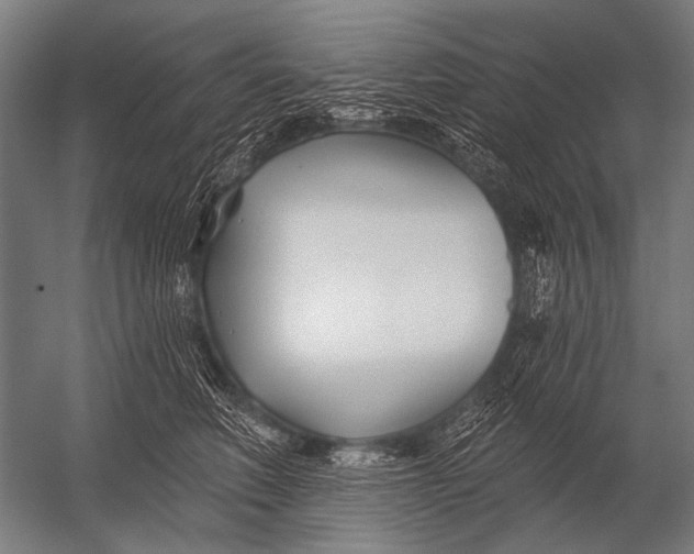 X0000052960614200507300113