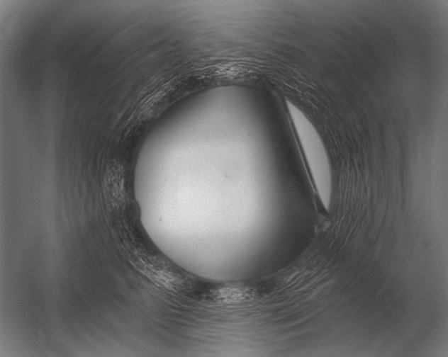 X0000052960615200507300113