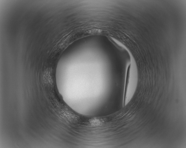 X0000052960616200507300113