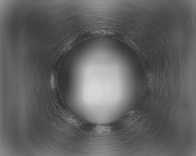 X0000052960617200507300113