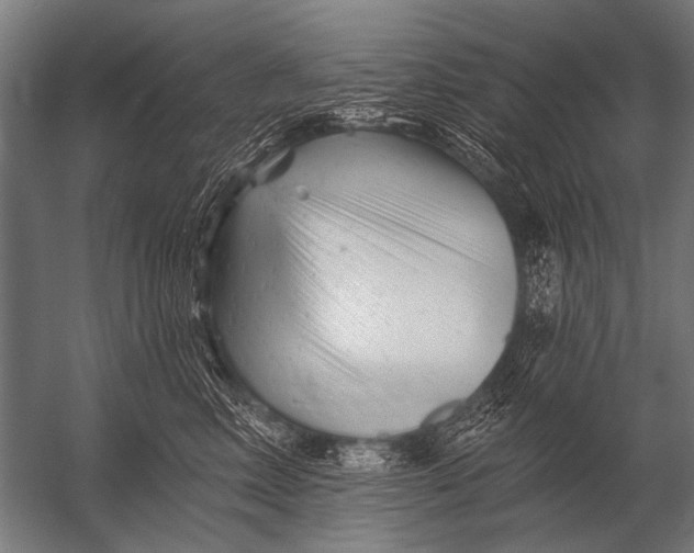 X0000052960618200507300113