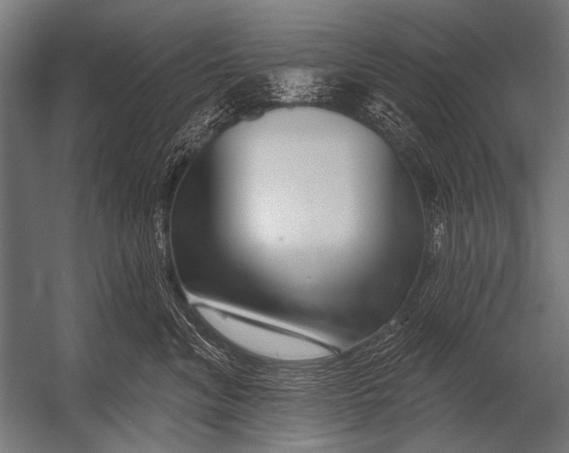 X0000052960620200507300113