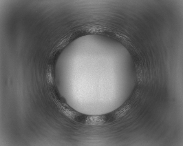 X0000052960622200507300113