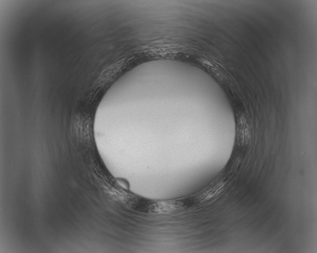 X0000052960623200507300113