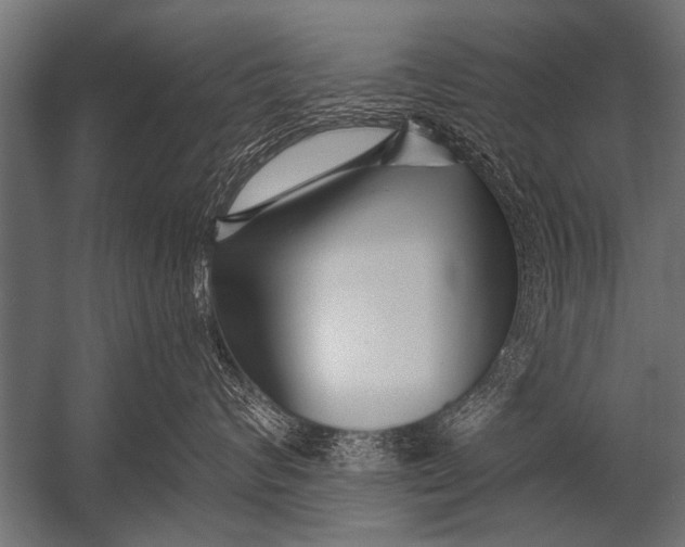 X0000052960624200507300113