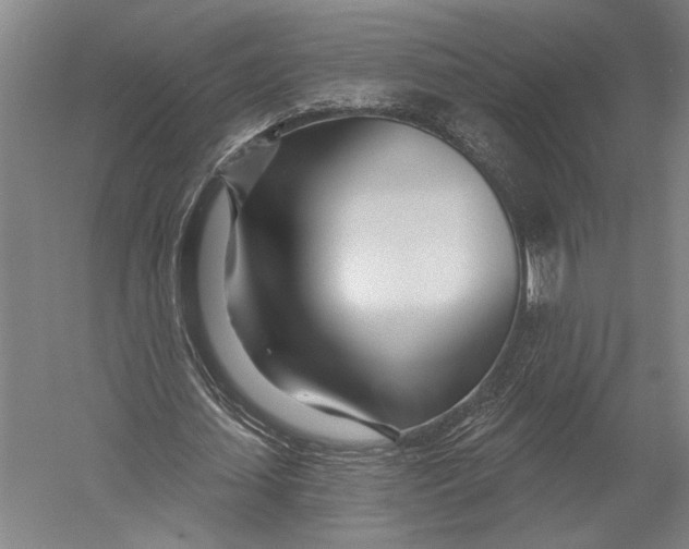 X0000052960627200507300112