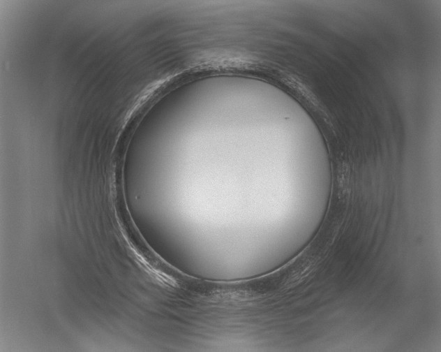X0000052960629200507300112
