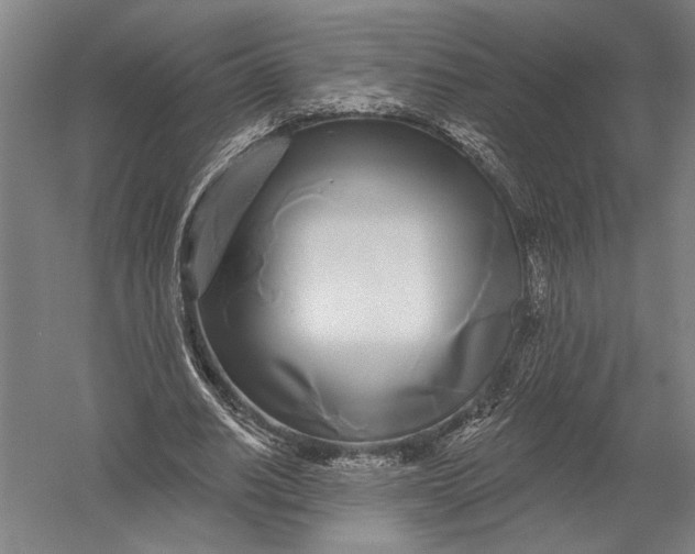 X0000052960630200507300112