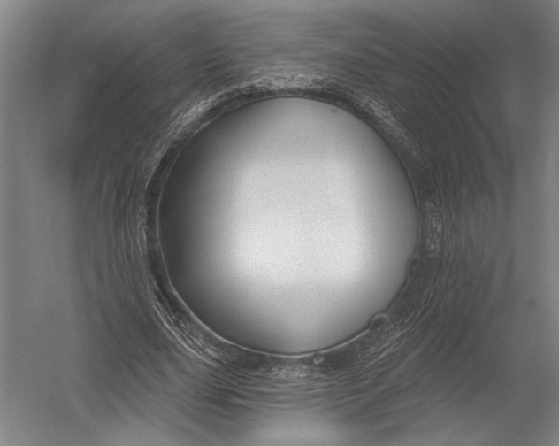 X0000052960631200507300112